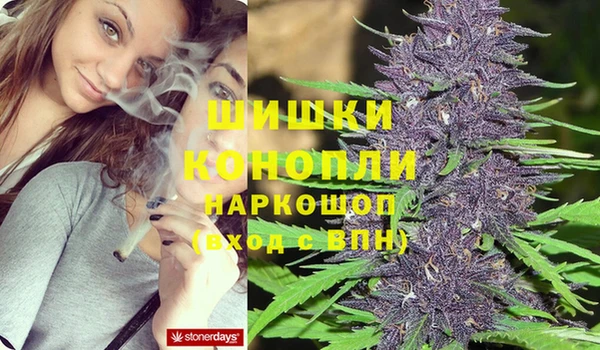дживик Елабуга
