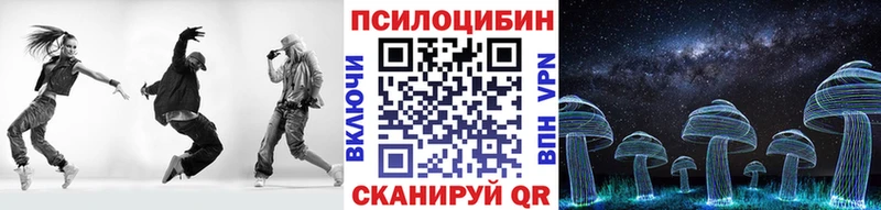 Псилоцибиновые грибы Psilocybe  Купить  Отрадное 